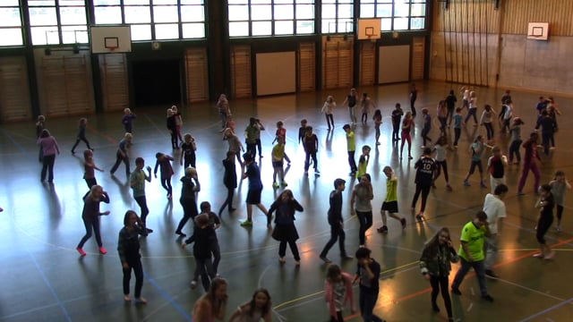 Schule Lindenfeld Burgdorf 2017